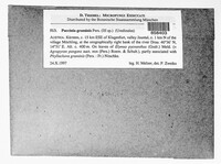 Puccinia graminis image